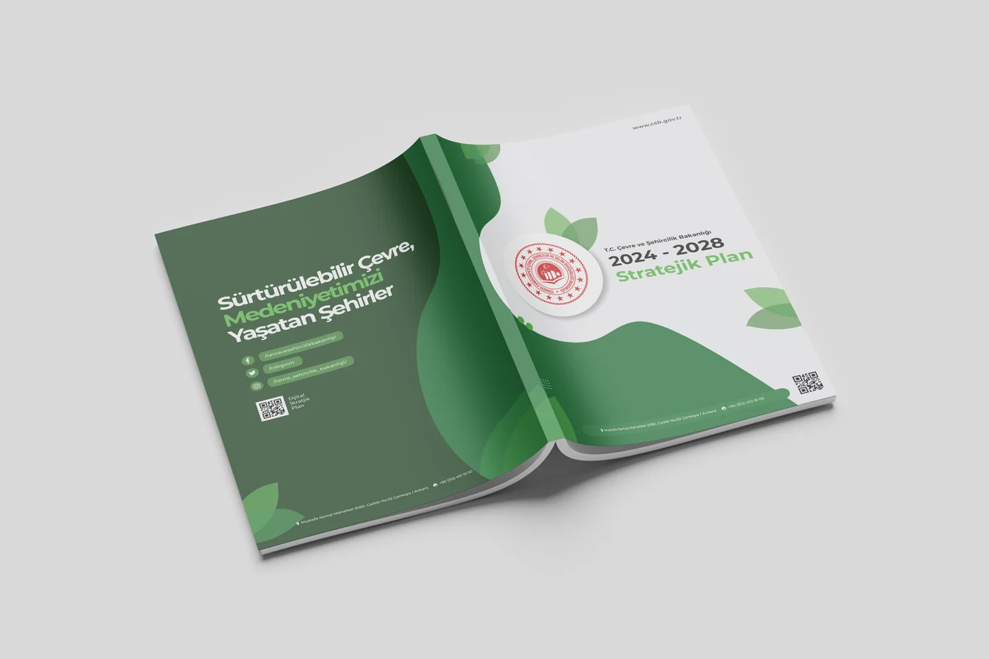 Two printed strategic plan volumes on a white surface, with a green cover carrying the ministry emblem and the plan period.