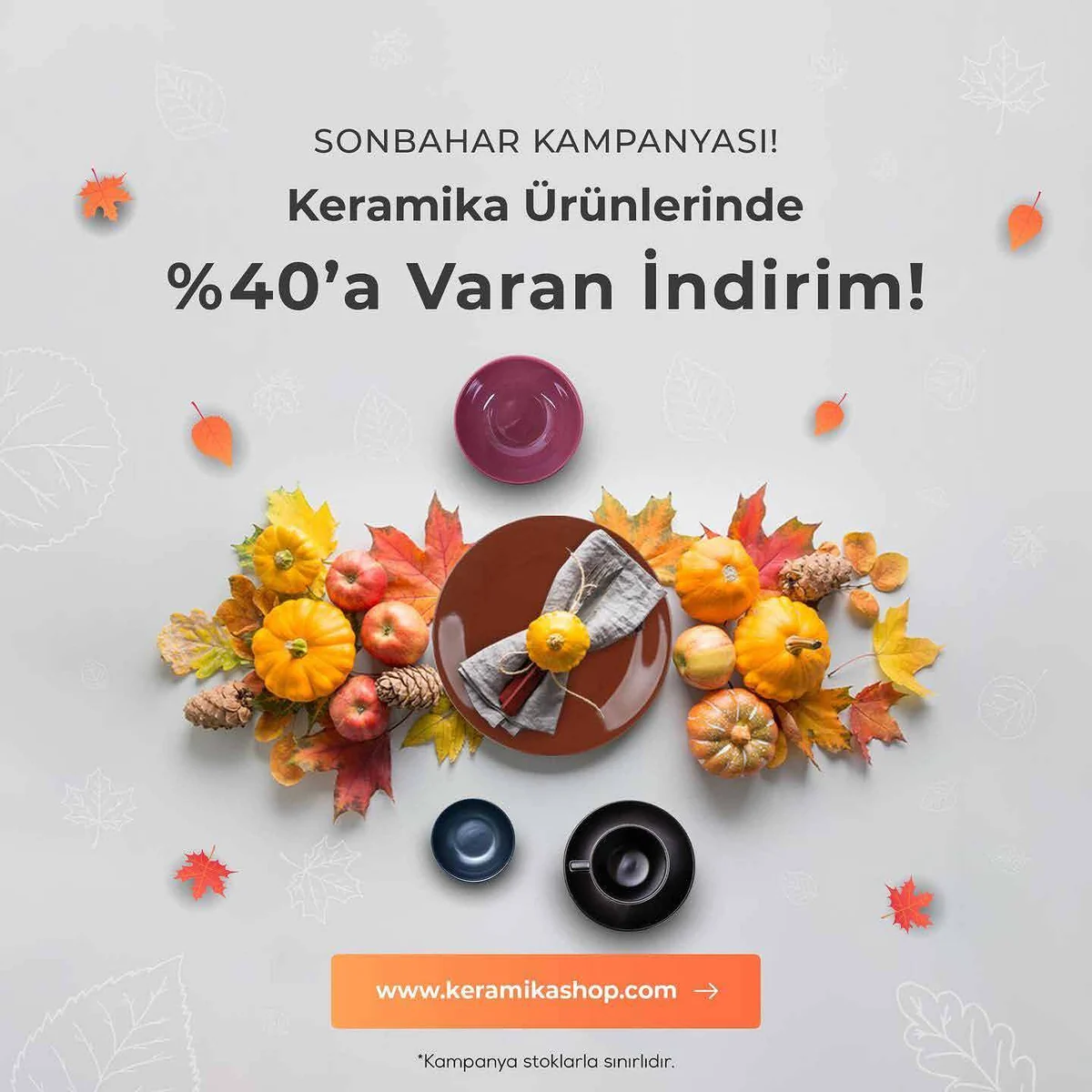 Autumn campaign visual with pumpkins, leaves and dark ceramic pieces arranged around a central dish.